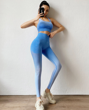 Load image into Gallery viewer, Gradient Seamless Yoga Pants-Women&#39;s Running Sports Tights.