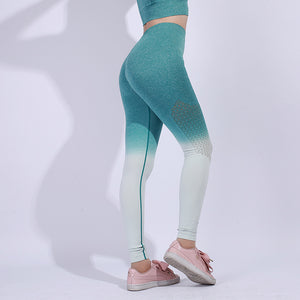 Gradient Seamless Yoga Pants-Women's Running Sports Tights.